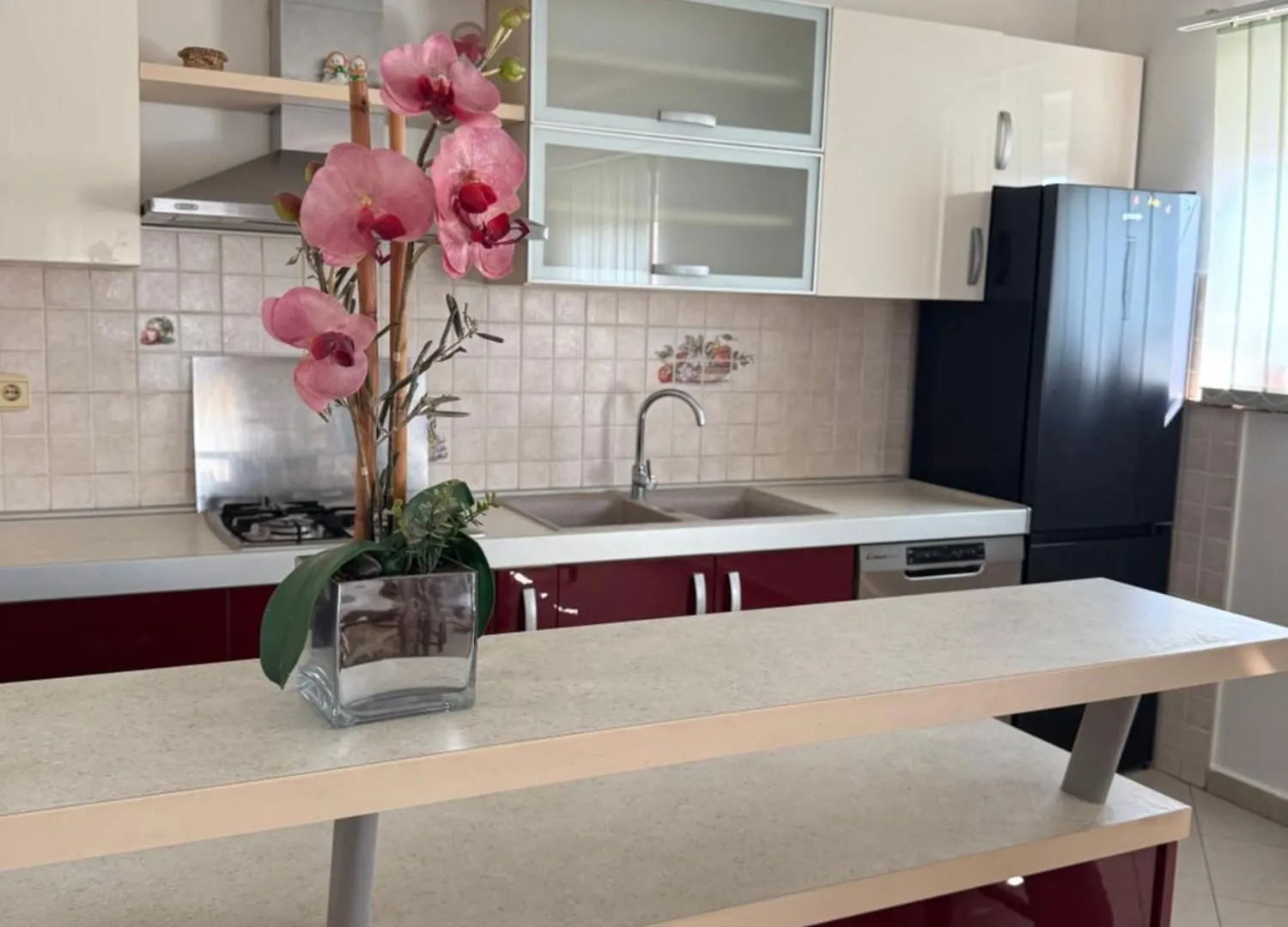 Apartman Dragan ビビニェ